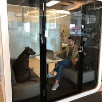 Airtable